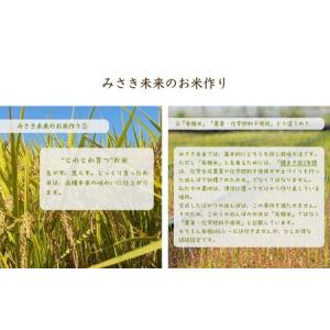 ふるさと納税 有機米 にじのきらめき 玄米 5...の詳細画像3