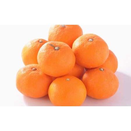 ふるさと納税 熊本県産 ハウスみかん 約5kg 約48〜60個 【2026年7月上旬発送開始】 果物...