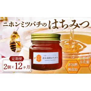 ふるさと納税 【定期便】 ニホンミツバチのはちみつ 600g×12回 | 蜂蜜 はちみつ ハチミツ 京都府綾部市