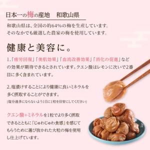 ふるさと納税 無選別 和歌山の完熟南高梅 味が...の詳細画像3