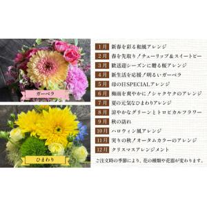 ふるさと納税 季節のアレンジメントフラワー 定...の詳細画像1