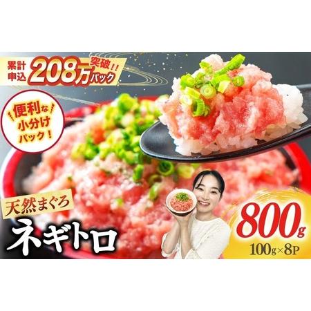 ふるさと納税 【ふるなび限定】 天然 まぐろ ネギトロ 800g 22424644-a ねぎとろ F...