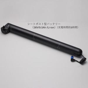 ふるさと納税 DAHON Unio e16 T...の詳細画像1