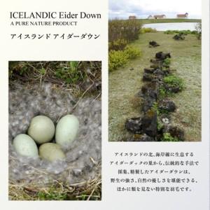 ふるさと納税 【富士屋ホテル】アイダーダウン ...の詳細画像2