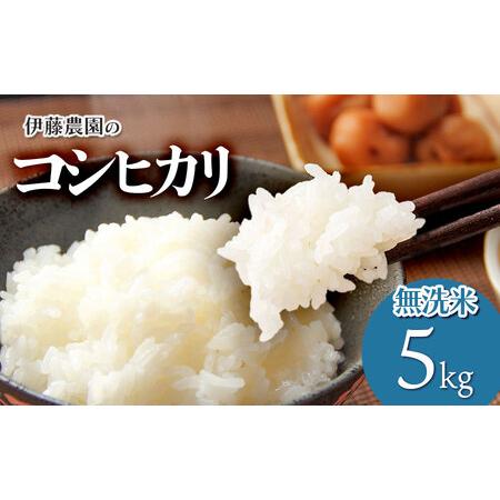 ふるさと納税 【令和7年産】【新米】コシヒカリ　無洗米5kg　伊藤農園 山形県鶴岡市