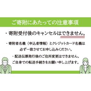 ふるさと納税 グレス メタルシェッドガレージ(...の詳細画像4