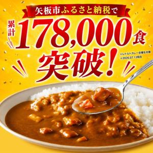 ふるさと納税 【定期便12回】ココイチ レトル...の詳細画像1