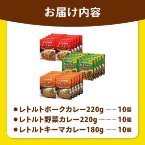 ふるさと納税 【定期便12回】ココイチ レトル...の詳細画像3