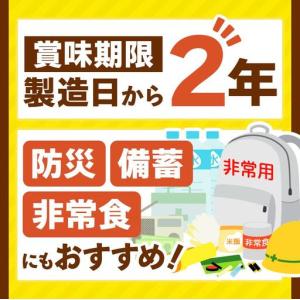 ふるさと納税 【定期便12回】ココイチ レトル...の詳細画像4