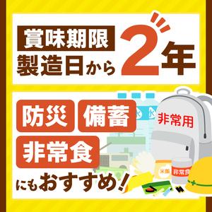 ふるさと納税 【定期便12回】ココイチ カレー...の詳細画像3