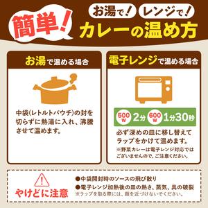 ふるさと納税 【定期便12回】ココイチ カレー...の詳細画像4