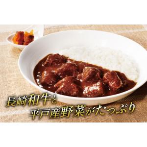 ふるさと納税 カレー セット 平戸 ビーフ カ...の詳細画像1