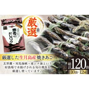 ふるさと納税 だし あご 無添加 焼あご だし...の詳細画像1