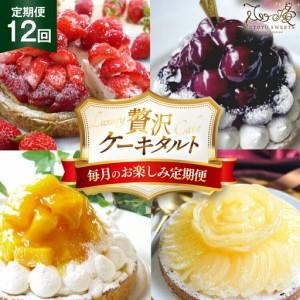 ふるさと納税 ケーキ 大人のタルト 定期便 12回 定期便 総計12ホール 長崎県平戸市