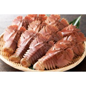 ふるさと納税 魚 まぐろ ひらめ えび イカ ...の詳細画像3