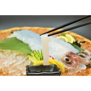 ふるさと納税 魚 まぐろ ひらめ えび イカ ...の詳細画像4