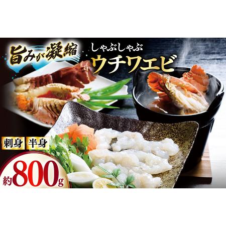 ふるさと納税 うちわえび エビ 海老 刺身 しゃぶしゃぶ 海鮮 ウチワエビ刺身 約400g・ウチワエ...