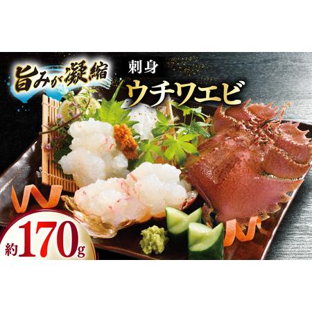 ふるさと納税 うちわえび エビ 海老 国産 刺し身 冷凍 ウチワエビ 刺身 約170g (ポン酢付)...