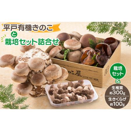 ふるさと納税 きのこ しいたけ きくらげ 椎茸菌床 生椎茸 生きくらげ セット [きのこ屋 長崎県 ...