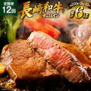 ふるさと納税 和牛 ステーキ 長崎和牛 サーロイ...の商品画像
