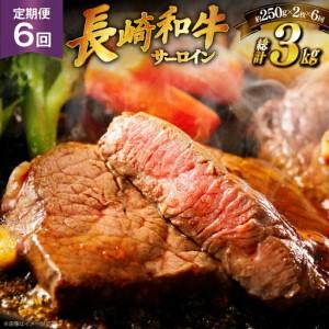ふるさと納税 和牛 ステーキ 長崎和牛 サーロイン 250g 2枚 ソース付き 6回 定期便 計3kg 長崎県平戸市