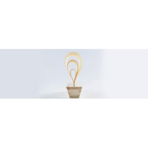 ふるさと納税 加湿器「MAST」 ヒノキ | ...の詳細画像3