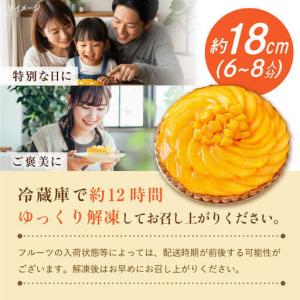 ふるさと納税 【偶数月 5回定期便】季節の タ...の詳細画像4