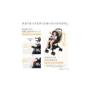 ふるさと納税 【コンビ】スゴカルL compa...の詳細画像3