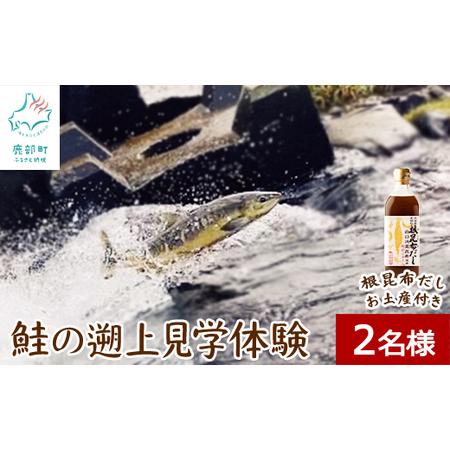 ふるさと納税 【お土産付き】鮭の遡上見学体験 2名様分 根昆布だし お土産付き 道の駅しかべ間歇泉公...