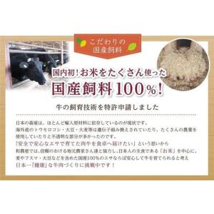 ふるさと納税 牛肉 半頭分 農林水産大臣賞受賞...の詳細画像3