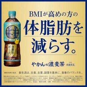 ふるさと納税 【毎月定期便】やかんの濃麦茶60...の詳細画像2
