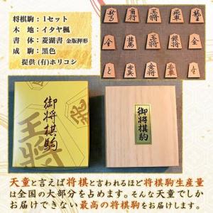 ふるさと納税 将棋駒 ( 金版押形 ・ 菱湖書...の詳細画像1
