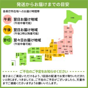ふるさと納税 将棋駒 ( 金版押形 ・ 菱湖書...の詳細画像4