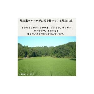 ふるさと納税 里山米マルコウ にじのきらめき ...の詳細画像1