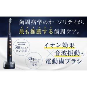 ふるさと納税 電動歯ブラシ IONPA hom...の詳細画像1