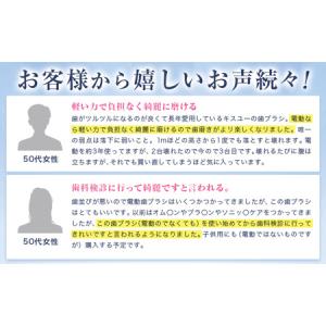 ふるさと納税 電動歯ブラシ IONPA hom...の詳細画像2