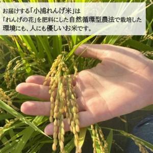 ふるさと納税 令和8年産(2026年産)新米!...の詳細画像2