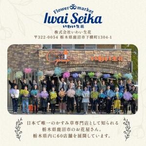 ふるさと納税 【12ヶ月定期便】毎月届く季節の...の詳細画像4