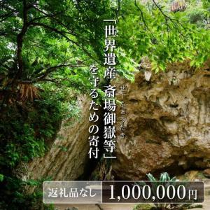 ふるさと納税 「世界遺産 斎場御嶽等」神聖な環境を守るためのご寄附 1,000,000円 沖縄県南城市