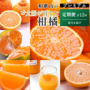 ふるさと納税 厳選 柑橘定期便M（毎月）全12回 ［IKE292］ 和歌山県印南町