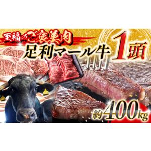 ふるさと納税 【至福のご褒美肉】足利マール牛1頭！　約400kg F7Z-1651 栃木県足利市