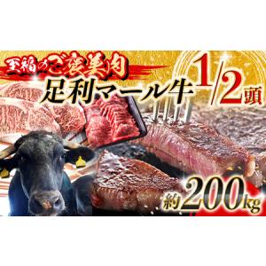 ふるさと納税 【至福のご褒美肉】足利マール牛1/2頭！　約200kg F7Z-1652 栃木県足利市