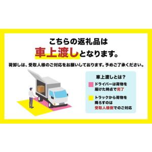 ふるさと納税 EAGLE G206A マルチア...の詳細画像4