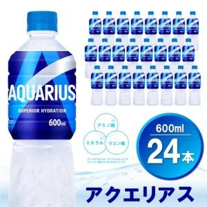 ふるさと納税 アクエリアス 600mlPET×24本(1ケース) K090174 佐賀県基山町