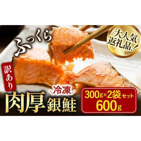 ふるさと納税 訳あり塩銀鮭切り身 600g（300g×2袋）【V003250P2】 愛媛県今治市