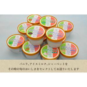 ふるさと納税 【定期便12ヶ月毎月お届け】京家...の詳細画像3