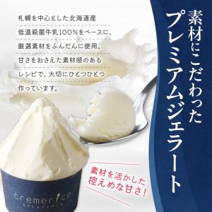 ふるさと納税 【定期便】クレメリーチェプレミア...の詳細画像1