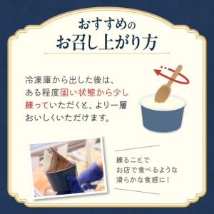 ふるさと納税 【定期便】クレメリーチェプレミア...の詳細画像3