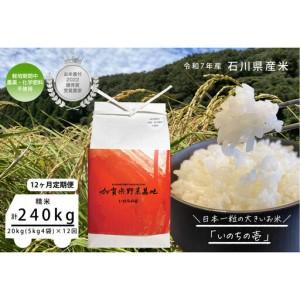 ふるさと納税 【12ヶ月定期便】【お米番付優秀賞受賞農家】日本一粒の大きいお米『いのちの壱』白米20kg×12回 石川県金沢市