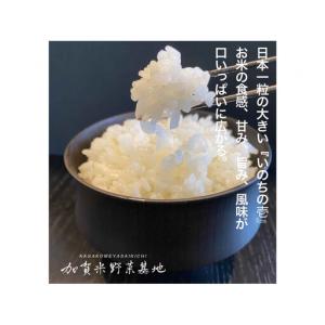 ふるさと納税 【12ヶ月定期便】【お米番付優秀...の詳細画像2